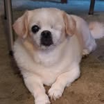 Donna McGeary Wheaton - @mcgearywheaton - Instagram