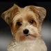 Donna Wheaton - Facebook