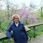 Donna Wheelans - @wheelansd - Instagram