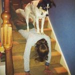Donna Whelan - @dlmw42 - Instagram