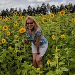 Donna Whetsel - Facebook
