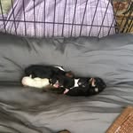 Donna Whigham - @donna.whigham.16 - Instagram