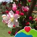 Donna Whitcomb - Facebook
