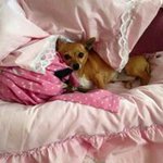 donna whitcombe - @donnawhitcombe - Instagram