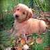 Worrywartmom Whitcomb - Facebook