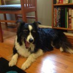 Donna Whitlock - @lipsticklibrarian77 - Instagram