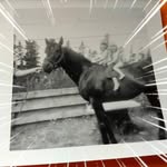 Donna Whitlock Carter - @donnawhitlockcarter - Instagram