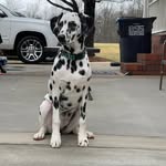 Donna Whitlock Jordan - @donnawjordan14 - Instagram
