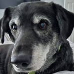 Donna Whitlow - @whitlowdonna - Instagram