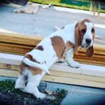 Donna LaRue Whitton - @donnalaruewhitton - Instagram