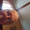 Donna Wickham - @donnawickham - TikTok