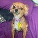 Donna Wickham - Facebook