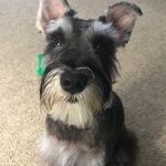 Donna Wickline - @donnamwickline - Instagram