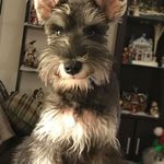 Donna Wickline - @wicklinedonna - Instagram