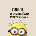 Donna Wickman - @wickmandonna - Instagram