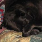 Donna Wicks Nessel - @donnanessel - Instagram