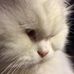 Donna Wickstrom - Facebook