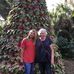 Donna Wideman Stone - Facebook