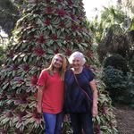 Donna Wideman Stone - @donnastone695 - Instagram