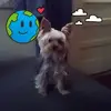 donnawideman - @donnawideman - TikTok