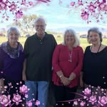 Donna Wilkes - @donna.wilkes.982 - Instagram