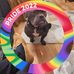 Donna Wilkinson - Facebook