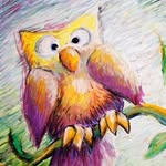 Donna Willard - @willard_donna - Instagram