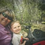 Donna Hardy Williford - @donna_williford70 - Instagram