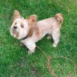 Donna Wills - @wills.donna - Instagram