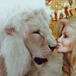 Donna Wills - @dwillscc - Instagram