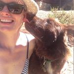 Donna Wills - @donna.wills - Instagram