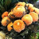 Donna Wills - @themarketbunchflowers - Instagram