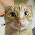 Donna Winberg - Facebook