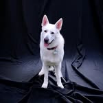 Donna Windsor - @donutwindsor - Instagram