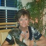 Donna Winn - @donna.winn.13 - Instagram