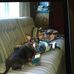 Donna Winn - Facebook