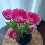 Donna Witty - Facebook