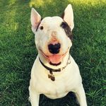 Donna Woodruff - @donna_woodruff_ - Instagram