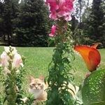 Donna Woodruff - @scdowood - Instagram