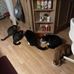 Donna Woolley - Facebook