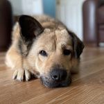 Donna Woolley - @woolley7516 - Instagram