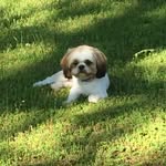 Donna Worth - @kyliegator2007 - Instagram