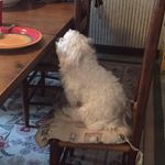 Donna Yoder - @dmy153 - Instagram