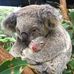 Donna Yoder - Facebook