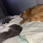 Donna Zerbe - @donnazerbe - Instagram