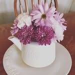 Donna VanAtta Zoll - @dzoll2001 - Instagram