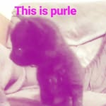 Donnell lloyd - @donnell364298 - Instagram