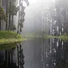 lloyddonnell - @lloyddonnell - TikTok