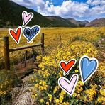 Donnell Turner - Facebook