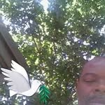 Donnell White - @donnellwhite4242 - Instagram